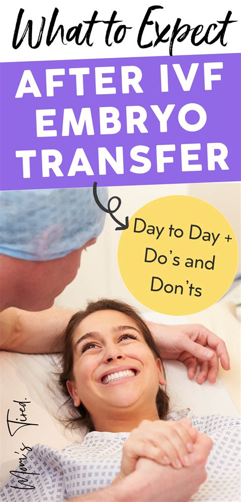 What to Expect Transfer