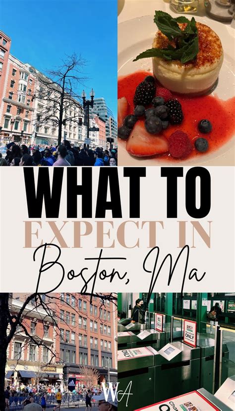 What to Expect When Visiting a Massachusetts Pound