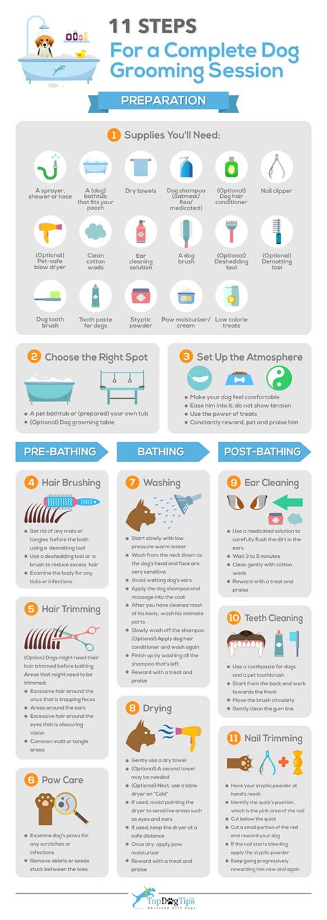 What to Expect from a Full Grooming Session