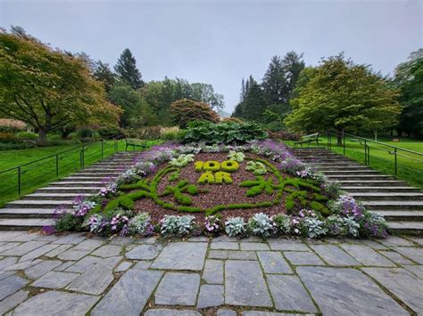 What to Expect in Botanical Garden