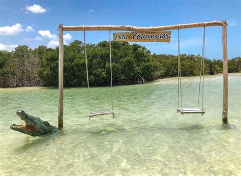 What to Expect on Isla Columpio