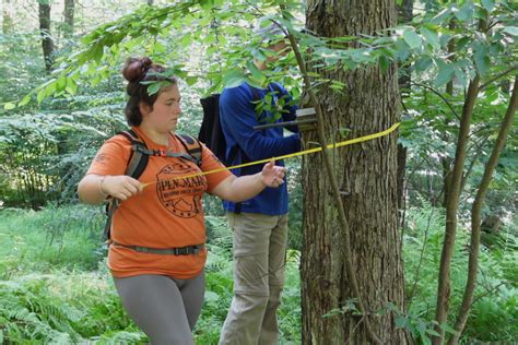 What to Expect on the Field