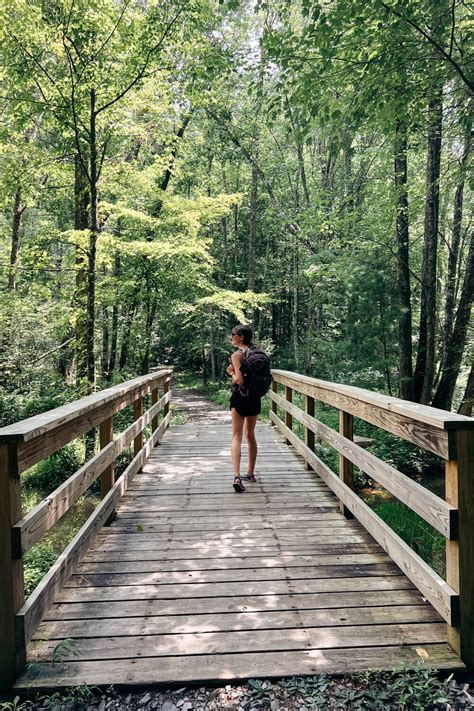 What to Expect on the Trail