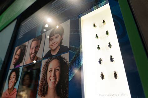 What to Focus Museum