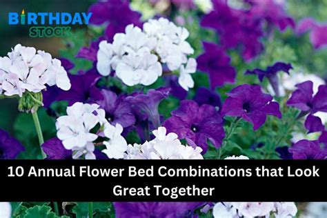 What to Look for in a Great Flower Catalog