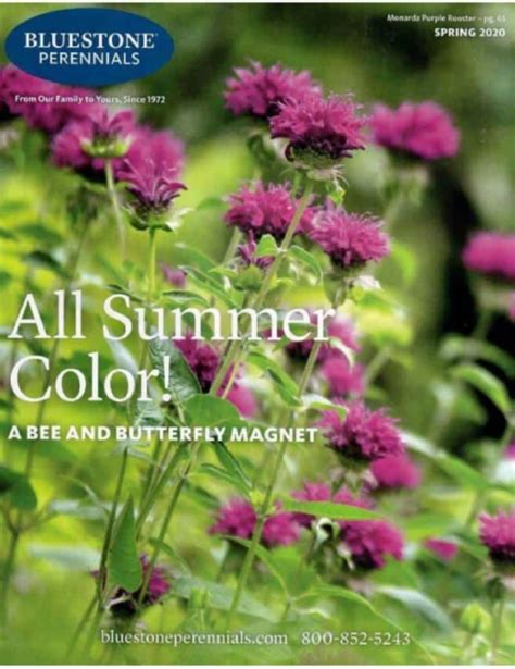 What to Look for in the Best Flower Catalogs
