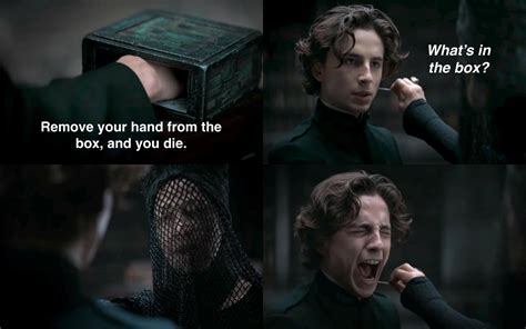 Unleashing Shared Laughter and Joy through 'What's In The Box' Meme Fun