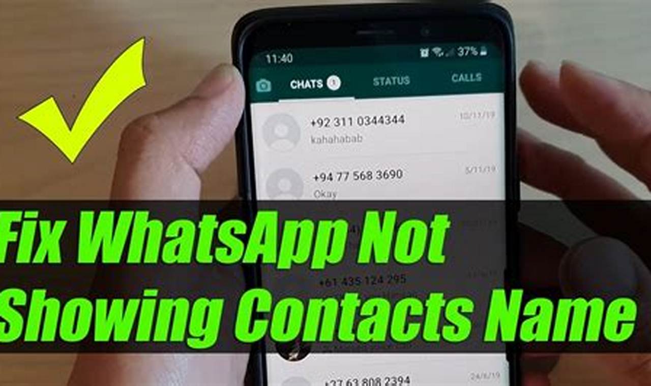 WhatsApp contact phone number
