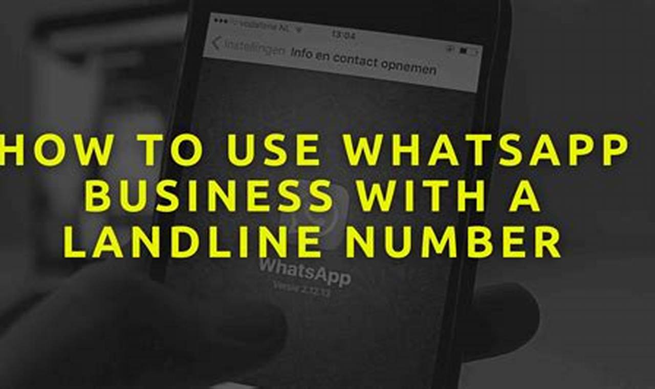 WhatsApp for Business landline