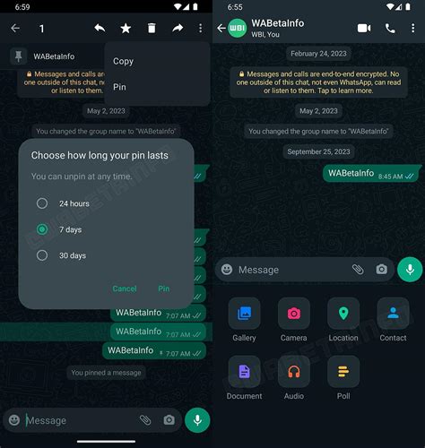 WhatsApp Pinned Messages in Testing