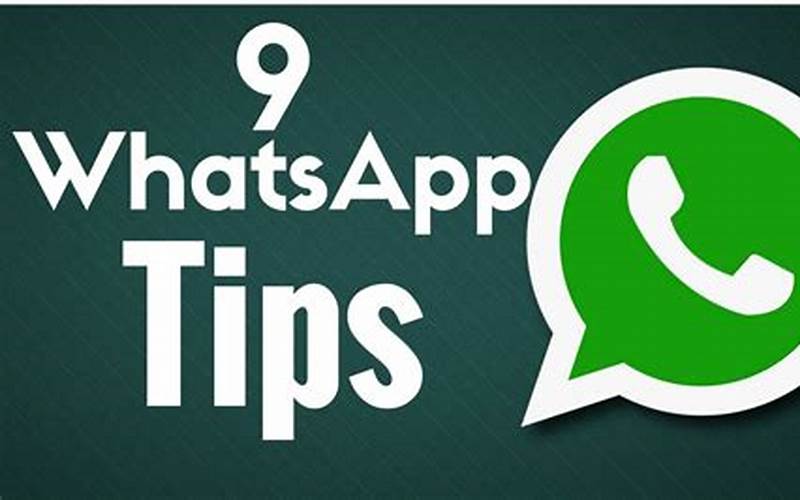 Whatsapp Pro Tips