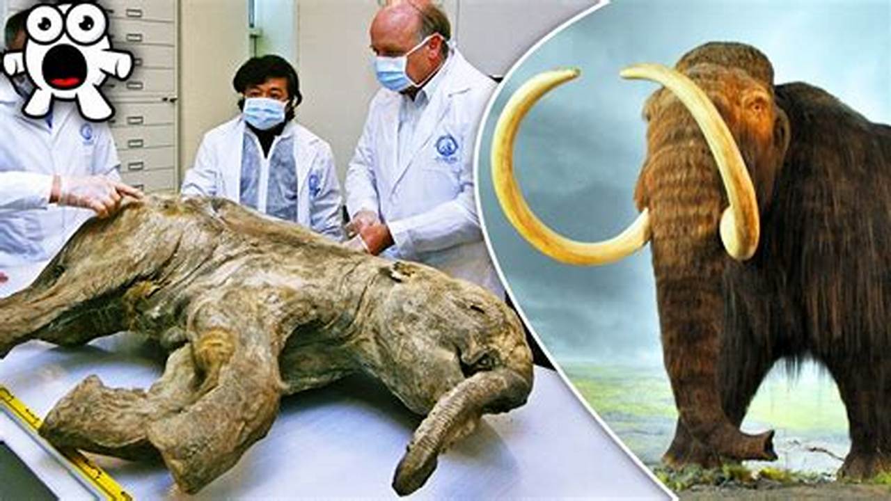 When Are Scientists Bringing Back Mammoths