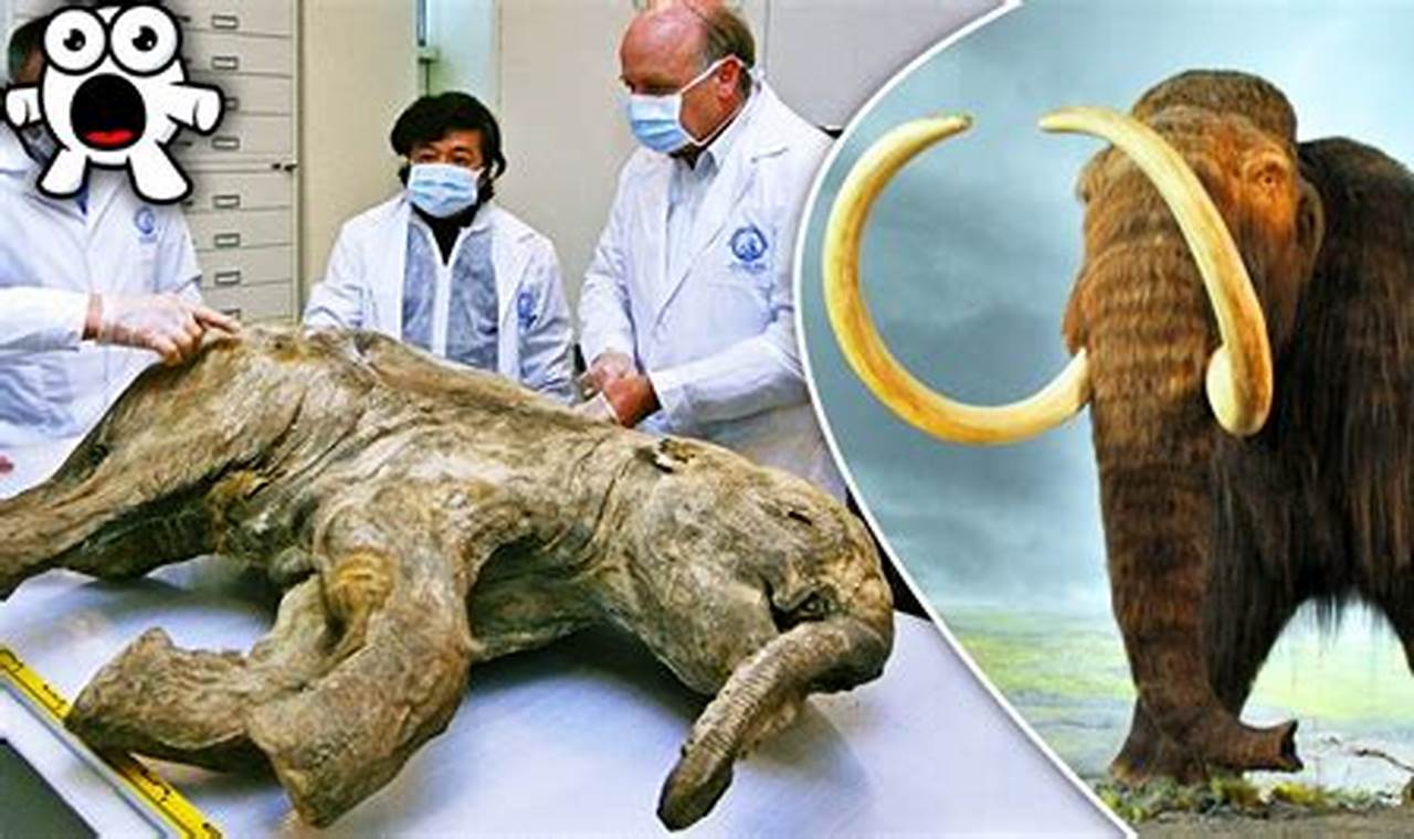 When Are Scientists Bringing Back Mammoths