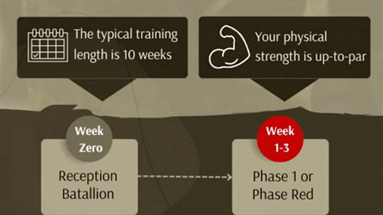 When Does Basic Training Start 2025