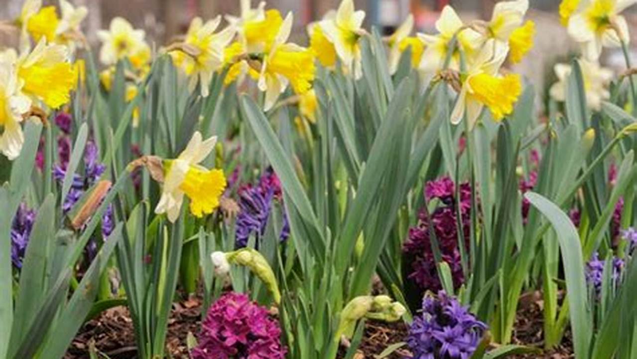 When Does Registration For Spring 2024 Start