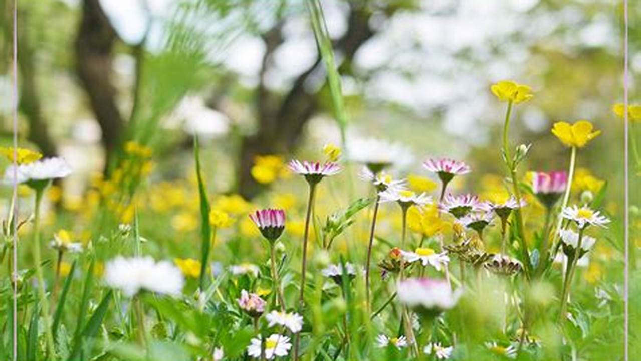 When Does Spring Start 2024 Ireland