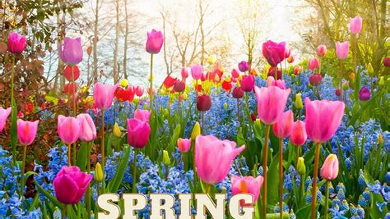 When Is First Day Of Spring 2024 Date 2024