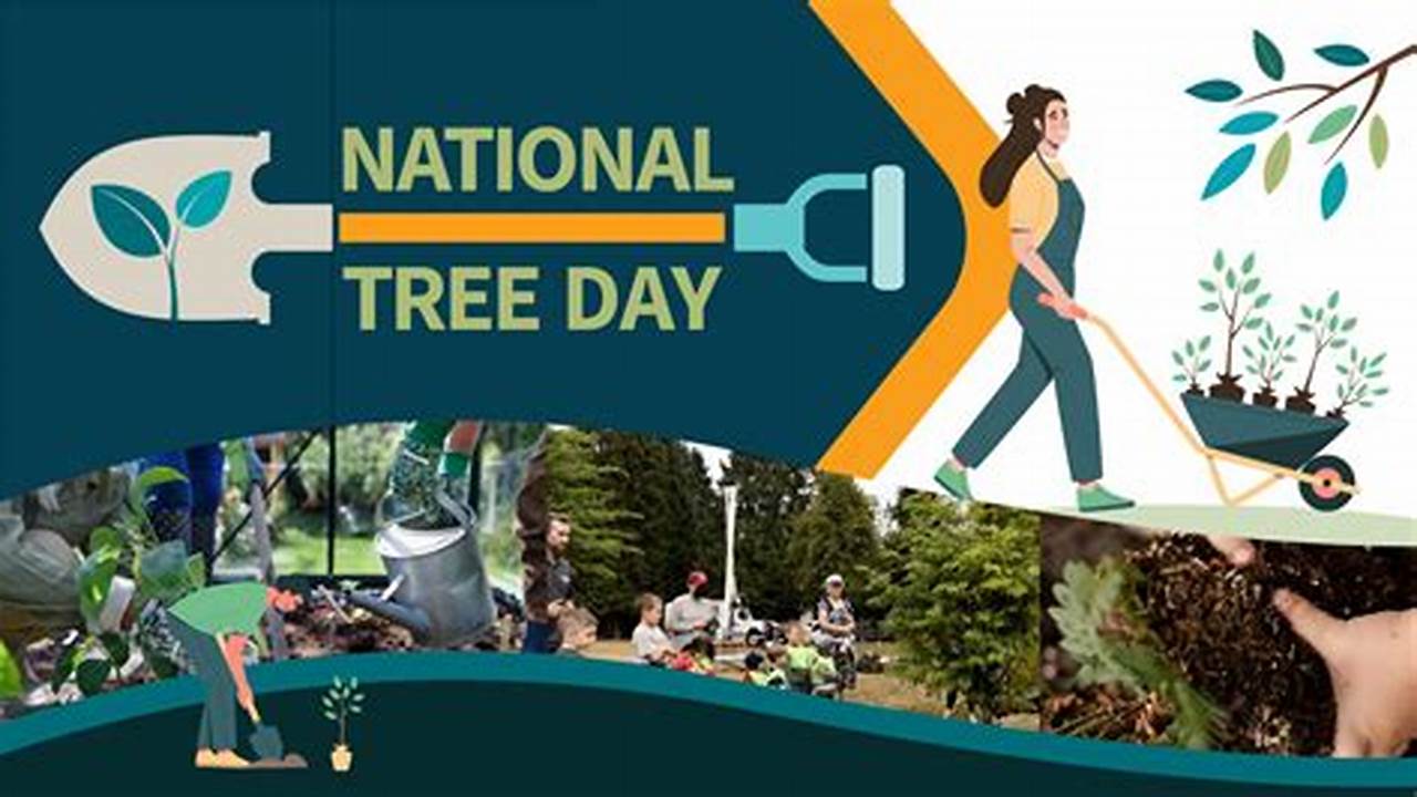 When Is National Tree Day 2024