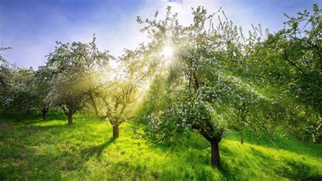 When Is Spring In Germany 2024