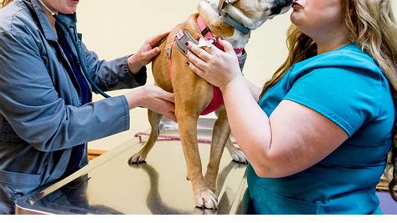 When Is Veterinary Assistant Week 2025