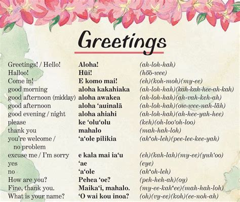 When Should You Use the Hawaiian Greeting?
