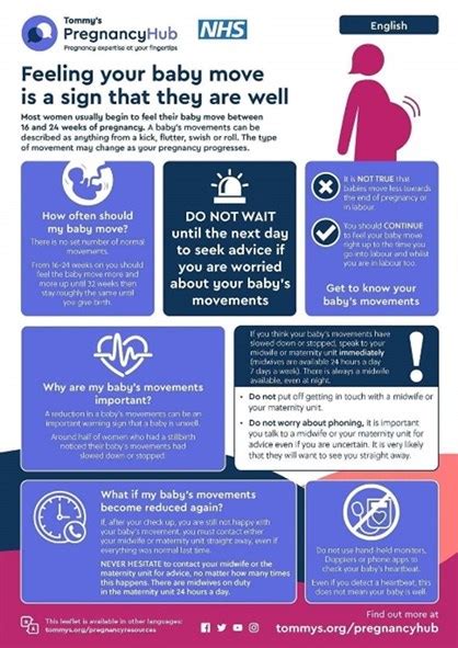 When Can You Start Feeling Baby Move