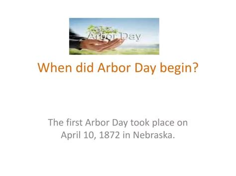 Discovering the Roots: When Did Arbor Day Start?