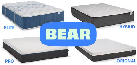 When Did Bear Mattress Become Available On Amazon