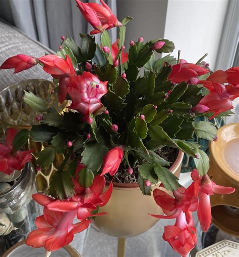 When Do Negative Items Fall Off Naturally