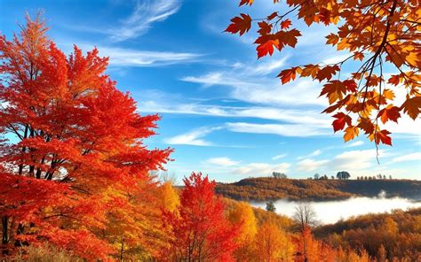 When Does Fall Begin in North America? A Complete Guide to the Autumnal Equinox Date and Time