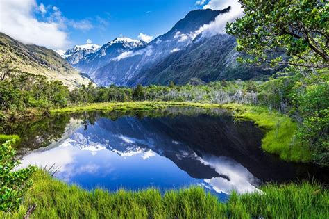 When Does Summer Start in New Zealand? A Guide to the Seasons Down Under