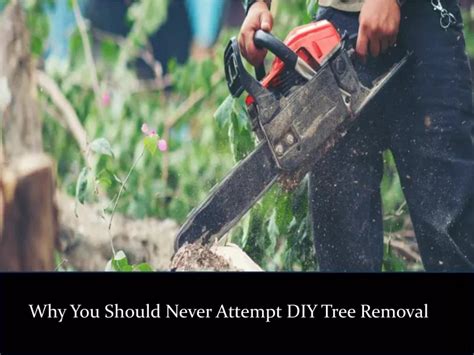 When NOT to Attempt DIY Removal