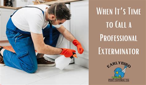 When To Call A Professional Exterminator