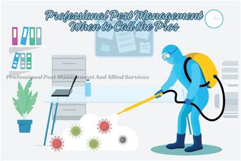 When To Call the Pros: Professional Pest Control