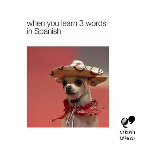 When You Dont Know Spanish Meme