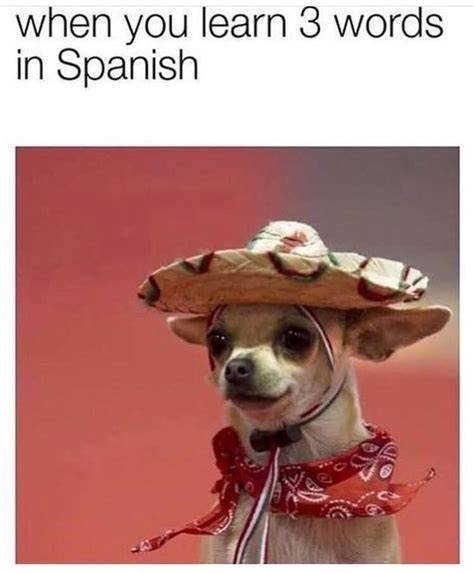 When You Know Spanish Meme