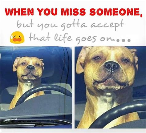 When You Miss Someone Meme