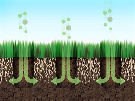 When to Aerate