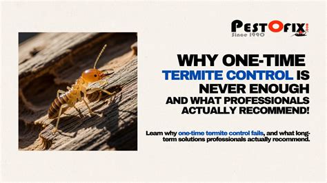 When to Call the Professionals: Advanced Termite Control