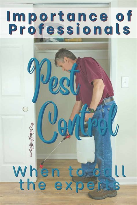 When to Call the Professionals Pest Control