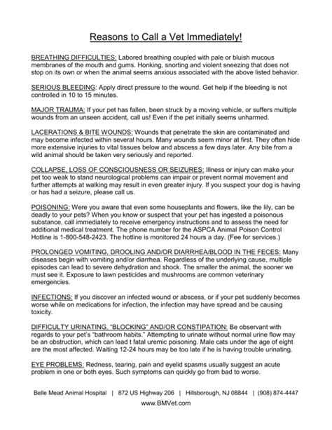 When to Call the Vet Immediately