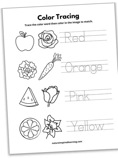 When to Introduce Advanced Tracing And Coloring Worksheets