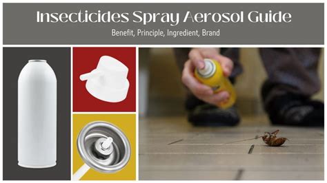 When to Use Insecticide Sprays