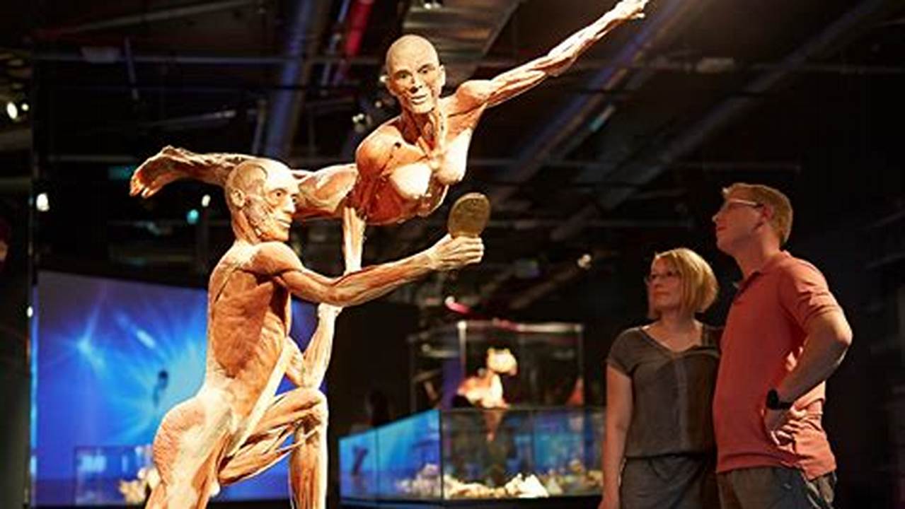 Where Is The Body Worlds Exhibition 2024