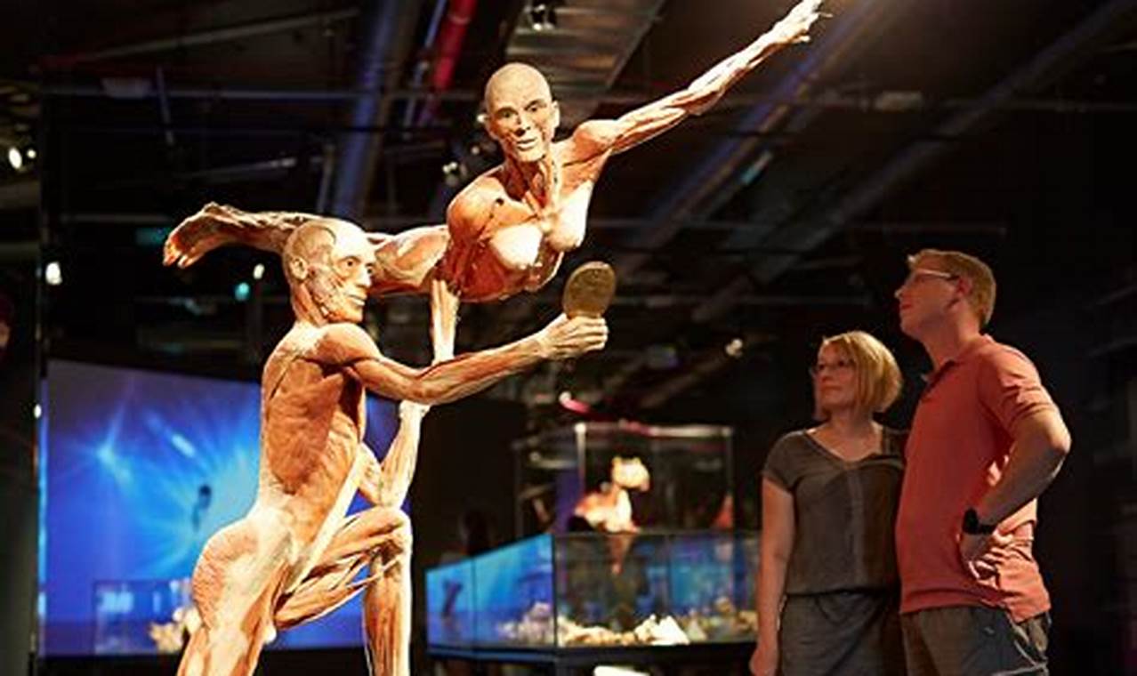Where Is The Body Worlds Exhibition 2024