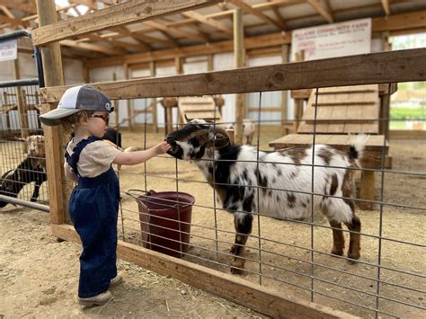 Where Can Children Visit Farm Animals Monroe And Livingston County