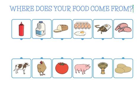 Where Does It Come From?