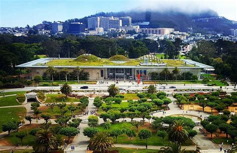 Discovering the Location of California Academy of Science: Your Ultimate Guide