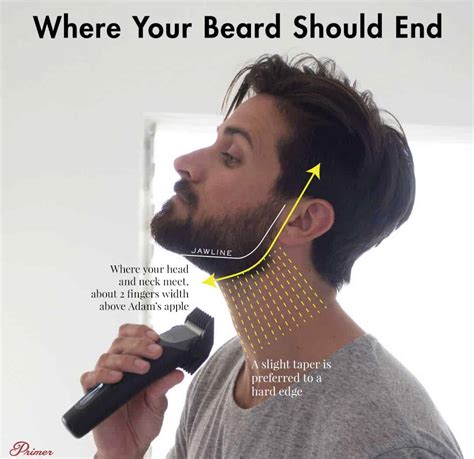 Where Should A Beard End