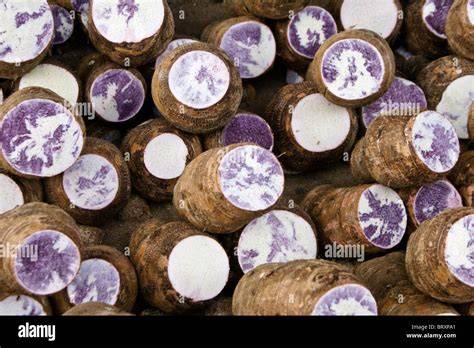 Where To Buy Taro Root